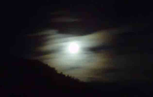 2011奧萬大園區的春夜月色