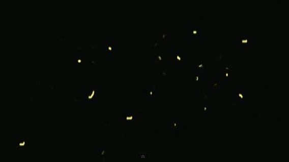 奧萬大夜精靈--螢火蟲-- 