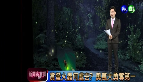 賞螢火蟲何處去? 奧萬大勇奪第一