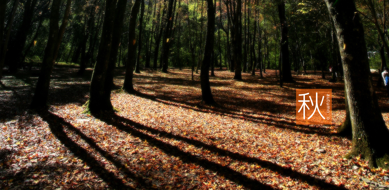 banner_header