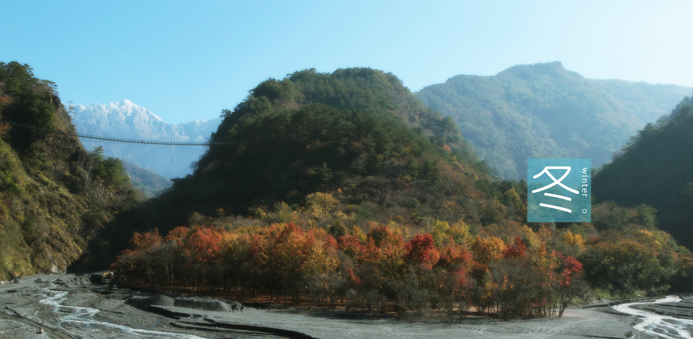banner_header